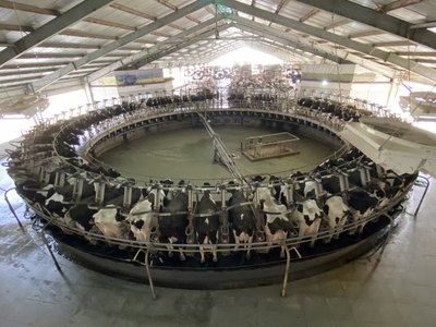 龙头带动 链式发展 滨海新区“农创”赋能乡村振兴，打造畜牧渔业饲料产业新高地